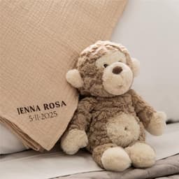 Product photos